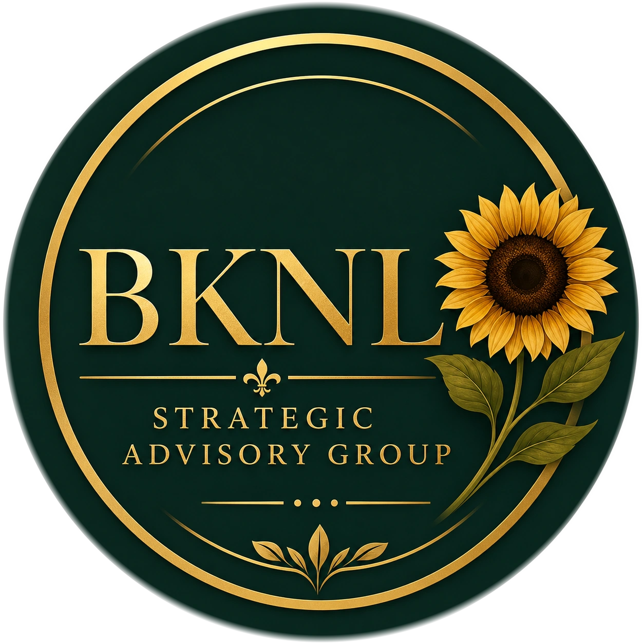 BKNL Strategic Advisory Group logo